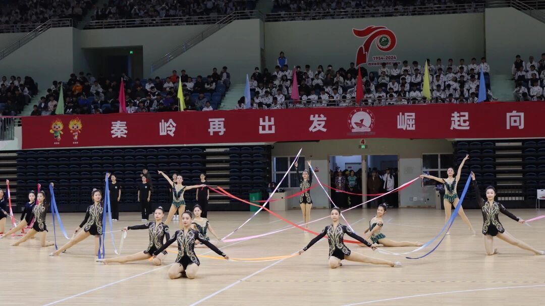 vsport体育稳定线路图片