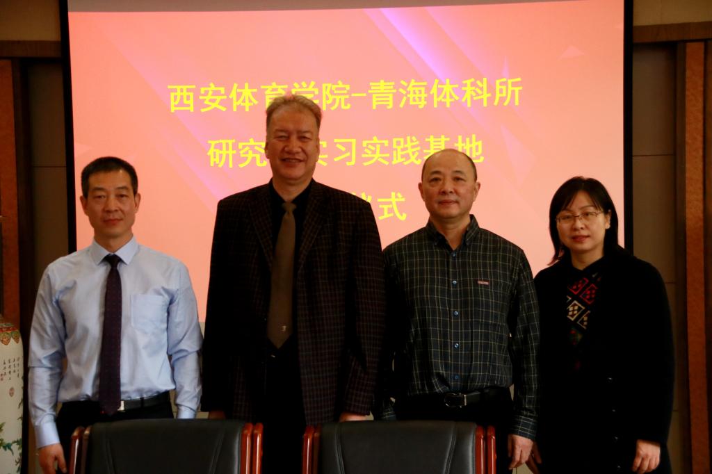 vsport体育稳定线路图片