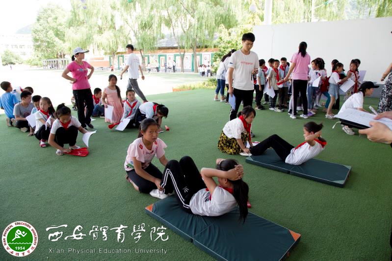 vsport体育客户端图片