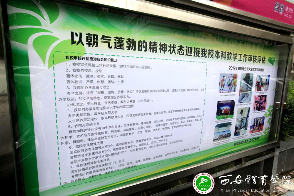 vsport体育安全通道图片
