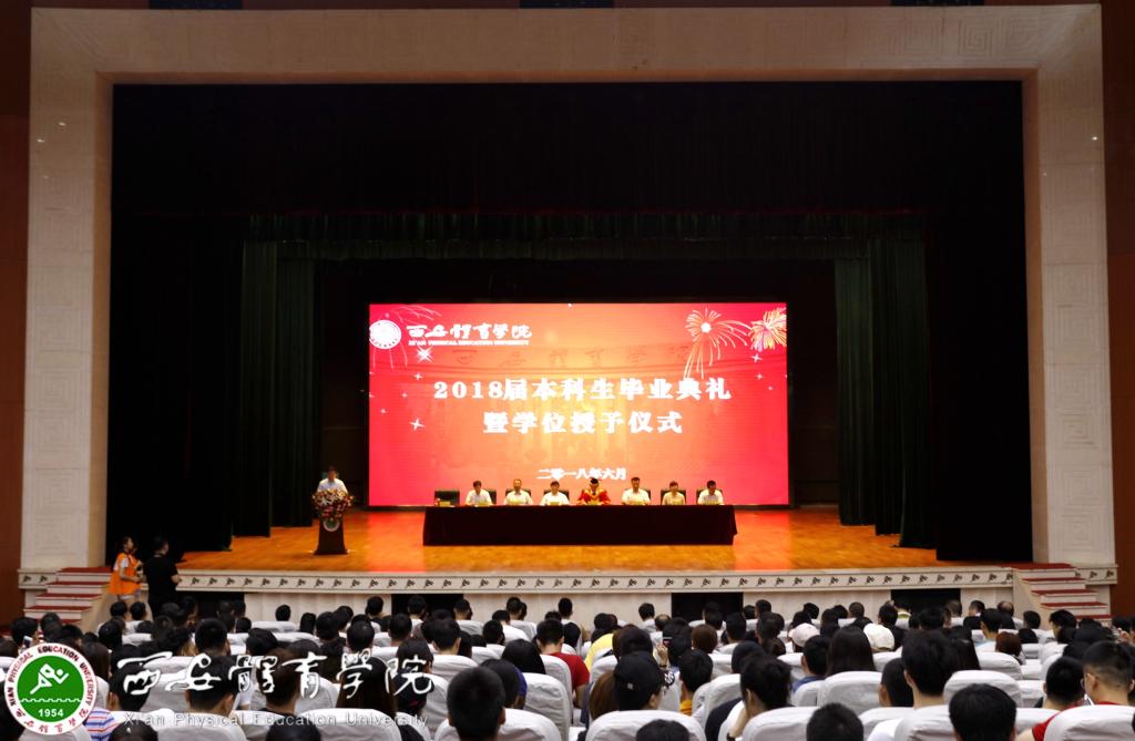 vsport体育客户端图片