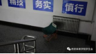vsport体育赛事快讯