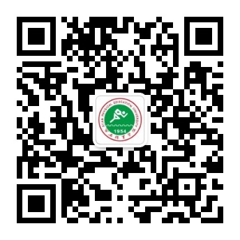 vsport体育官方指定端