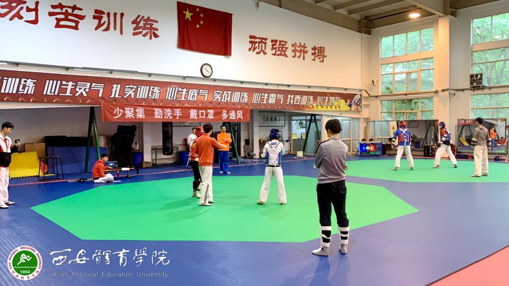 vsport体育客户端图片