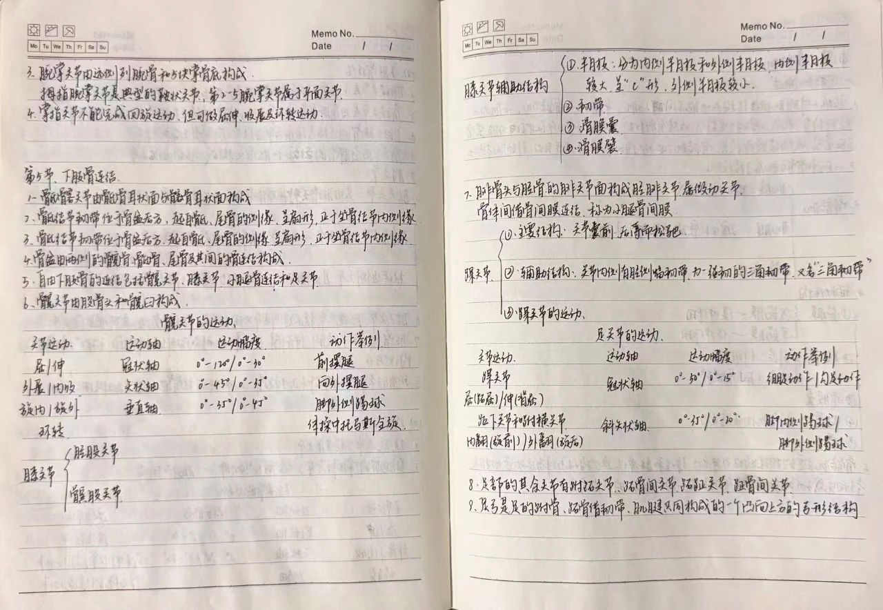 vsport体育安全通道