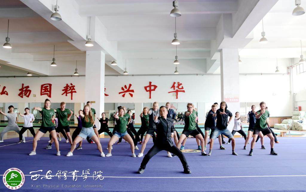vsport体育稳定线路图片