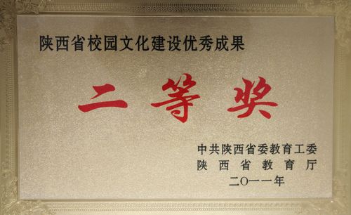 vsport体育客户端图片