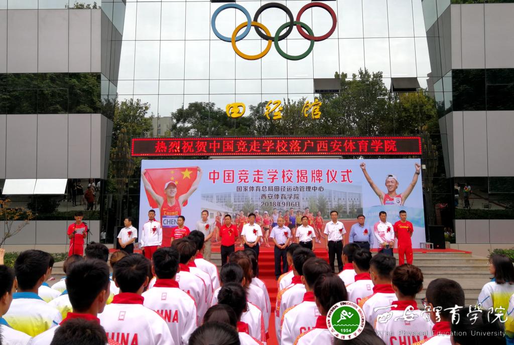 vsport体育客户端图片