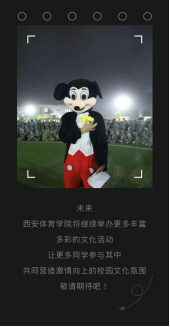 vsport体育体育频道