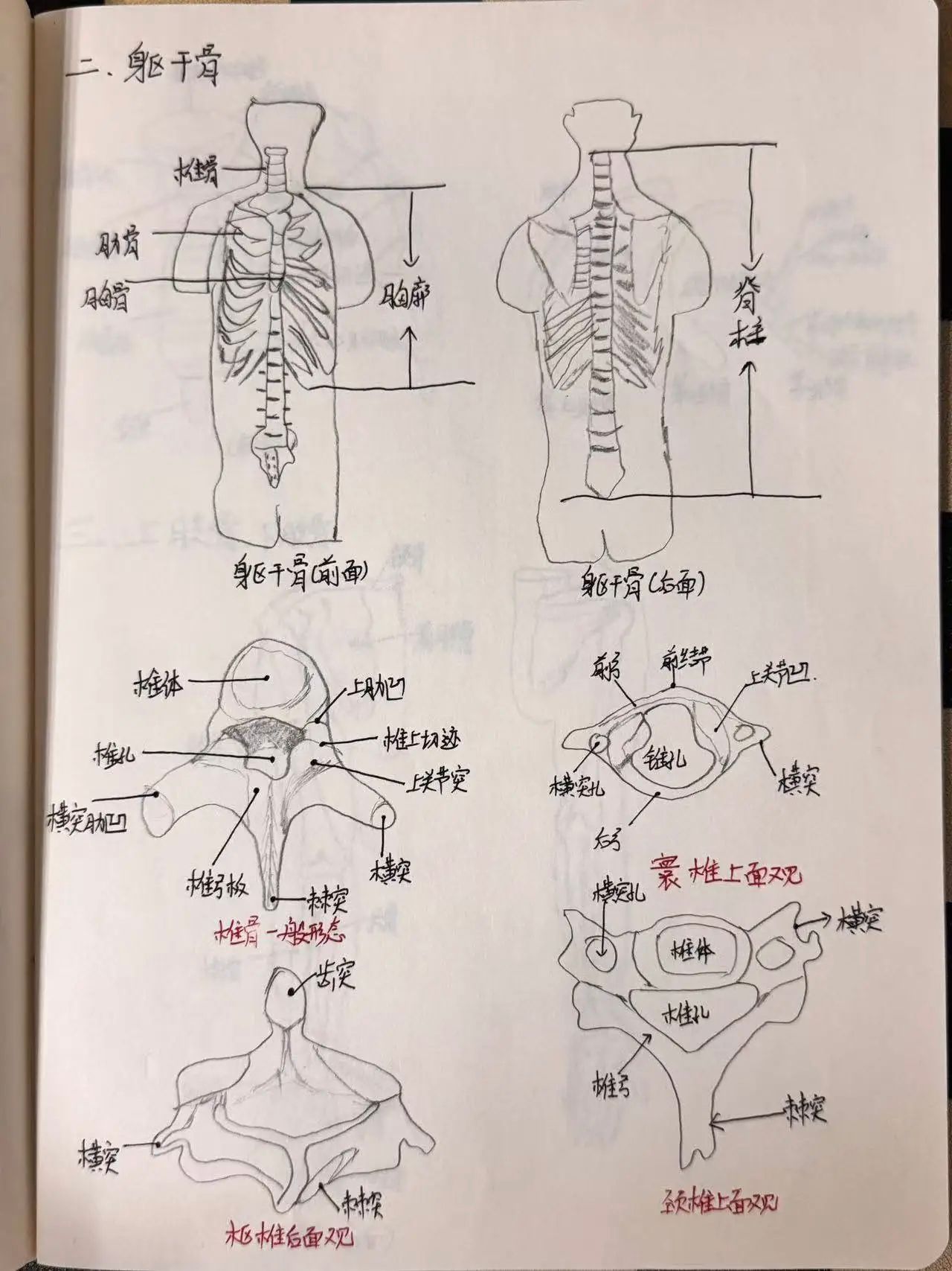 vsport体育核心通道