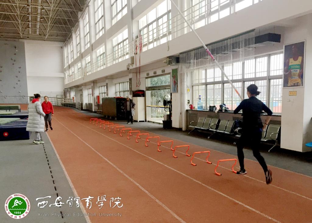 vsport体育体育频道图片