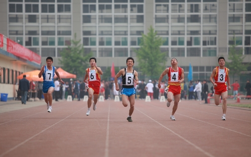vsport体育稳定线路图片