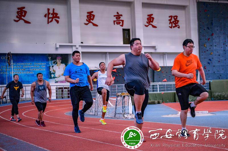 vsport体育稳定线路