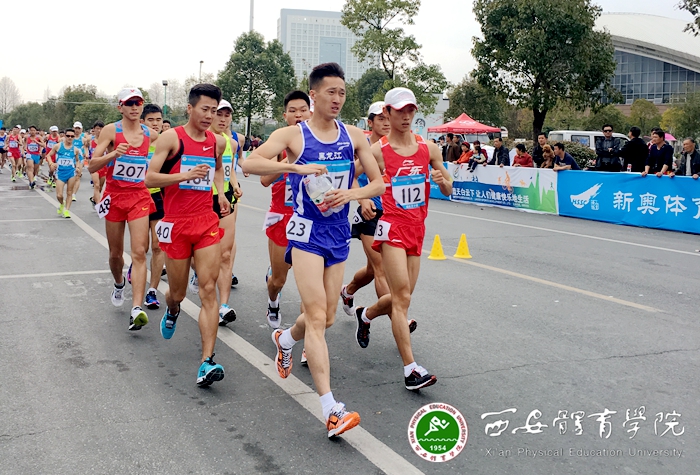 vsport体育稳定线路图片