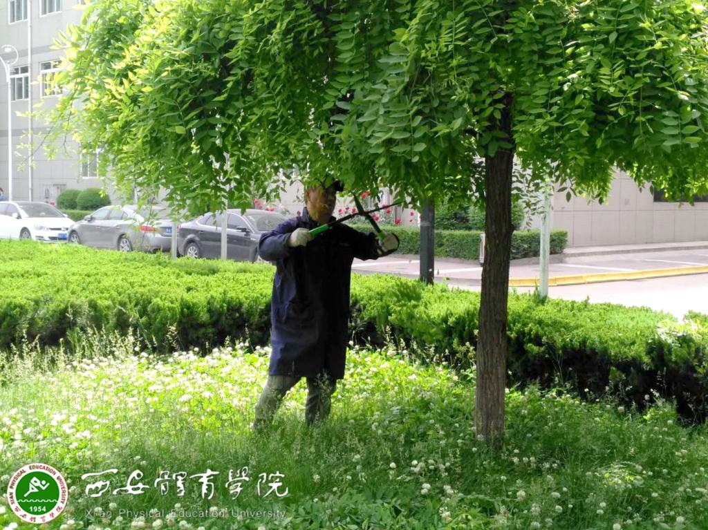 vsport体育欧洲杯图片