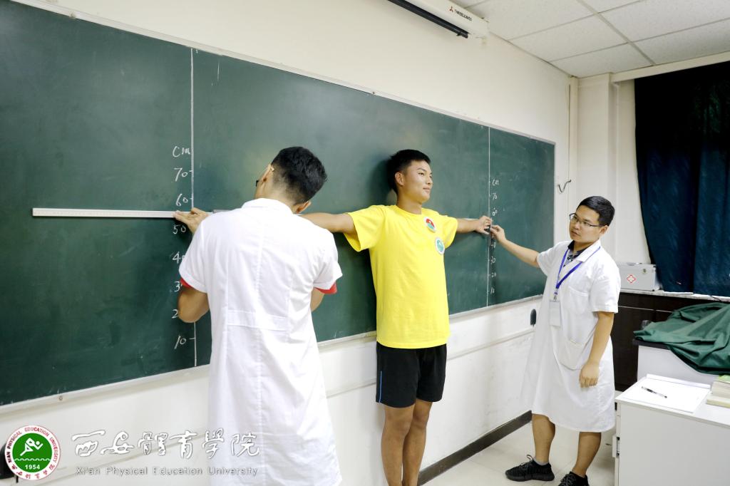 vsport体育稳定线路图片
