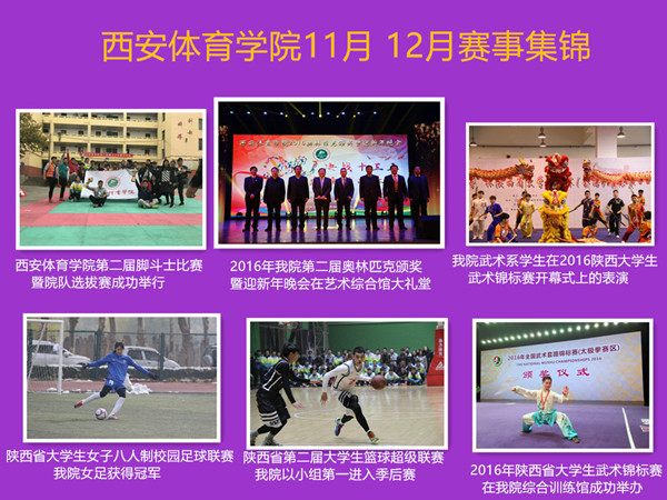 vsport体育官方线路
