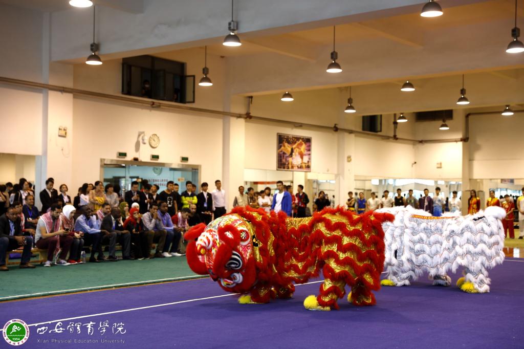 vsport体育赛事资讯平台图片