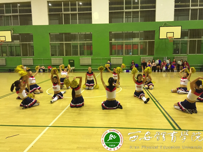 vsport体育手机版