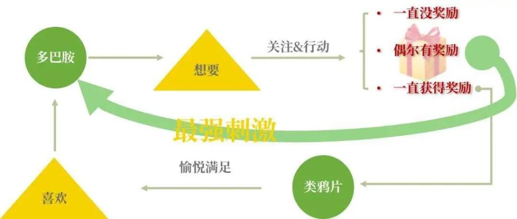 vsport体育超级联赛