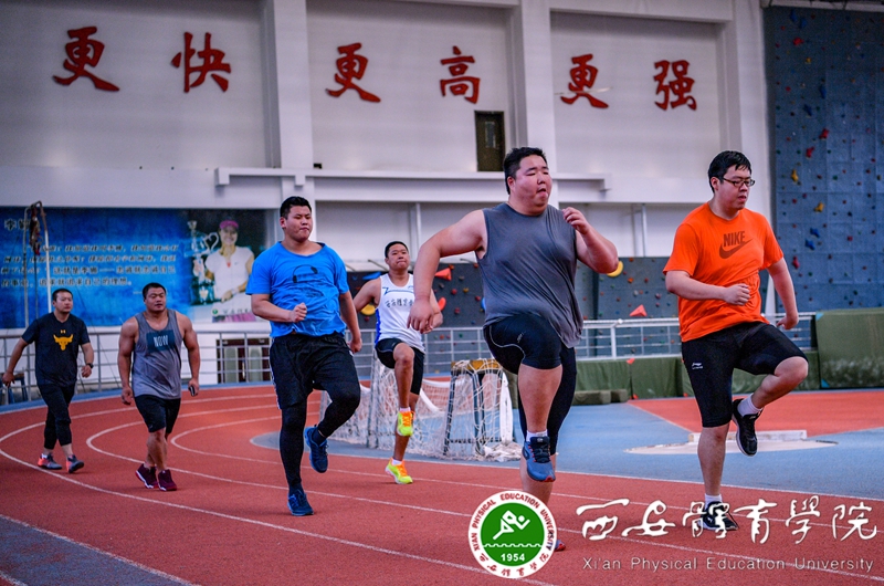 vsport体育稳定线路
