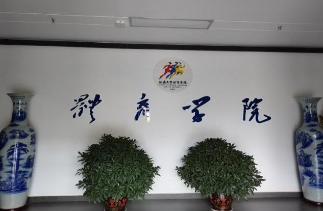 vsport体育欧洲杯
