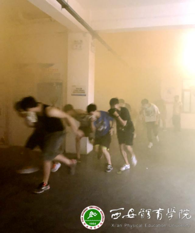 vsport体育稳定线路