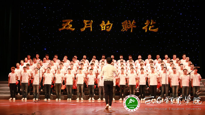 vsport体育加速节点图片
