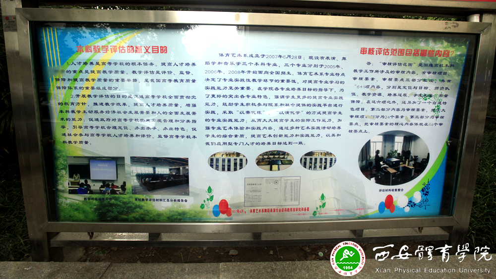 vsport体育稳定线路图片