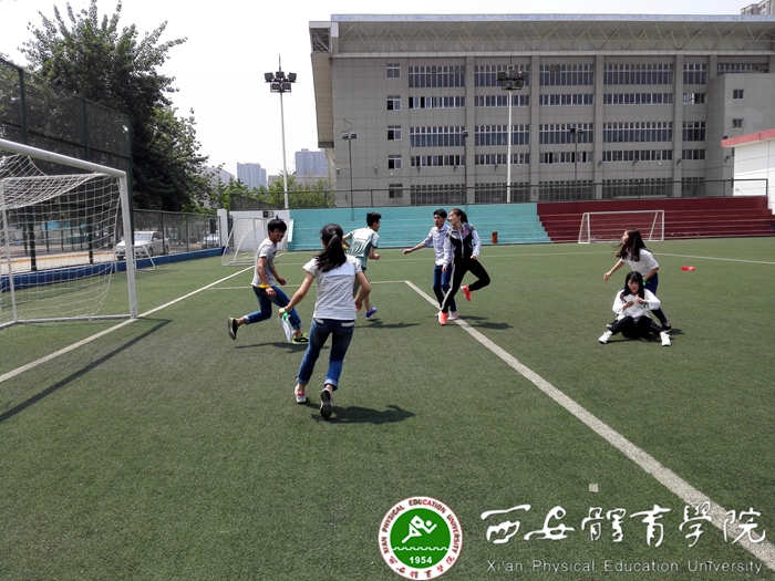 vsport体育官方线路