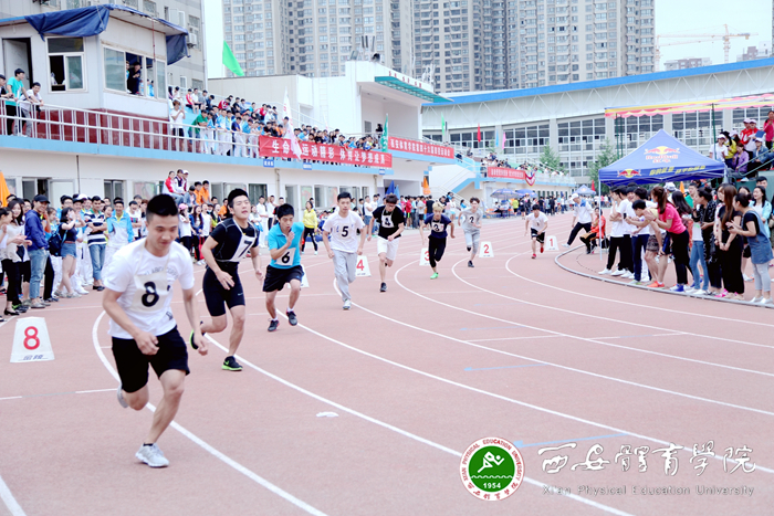 vsport体育备用网址