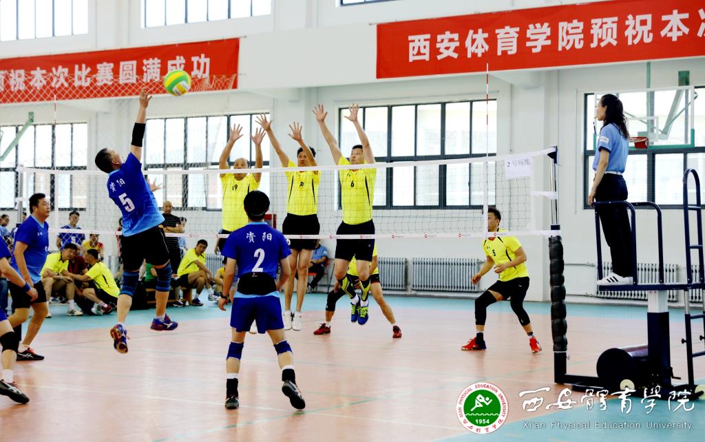 vsport体育客户端图片