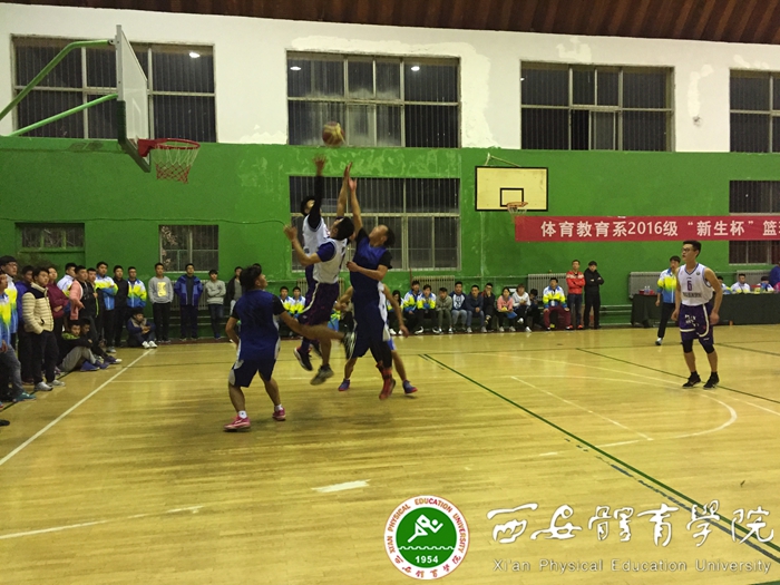 vsport体育稳定线路
