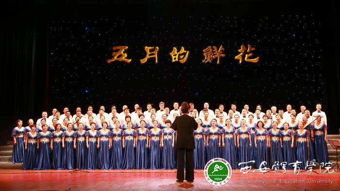 vsport体育APP下载图片