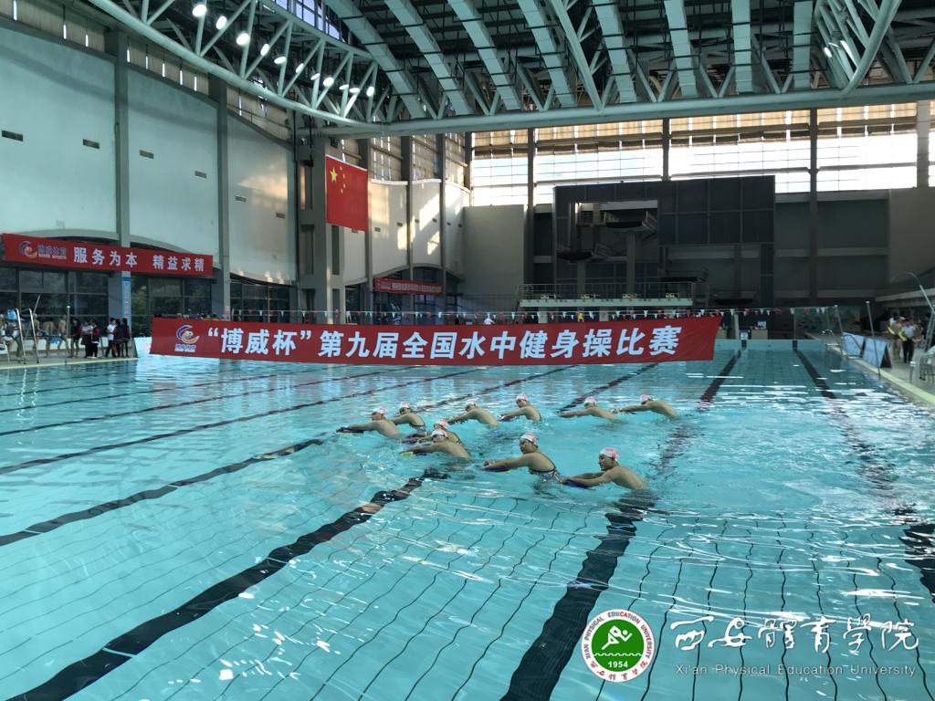 vsport体育稳定线路图片