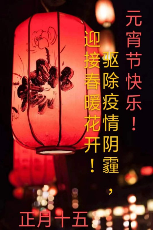 vsport体育欧洲杯图片