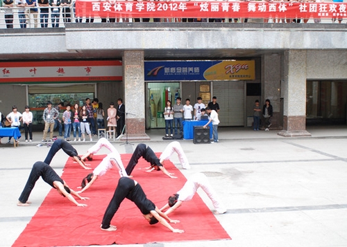 vsport体育稳定线路图片