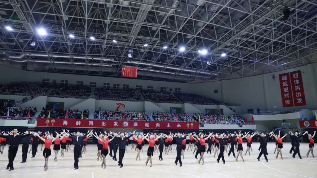 vsport体育赛事资讯平台图片