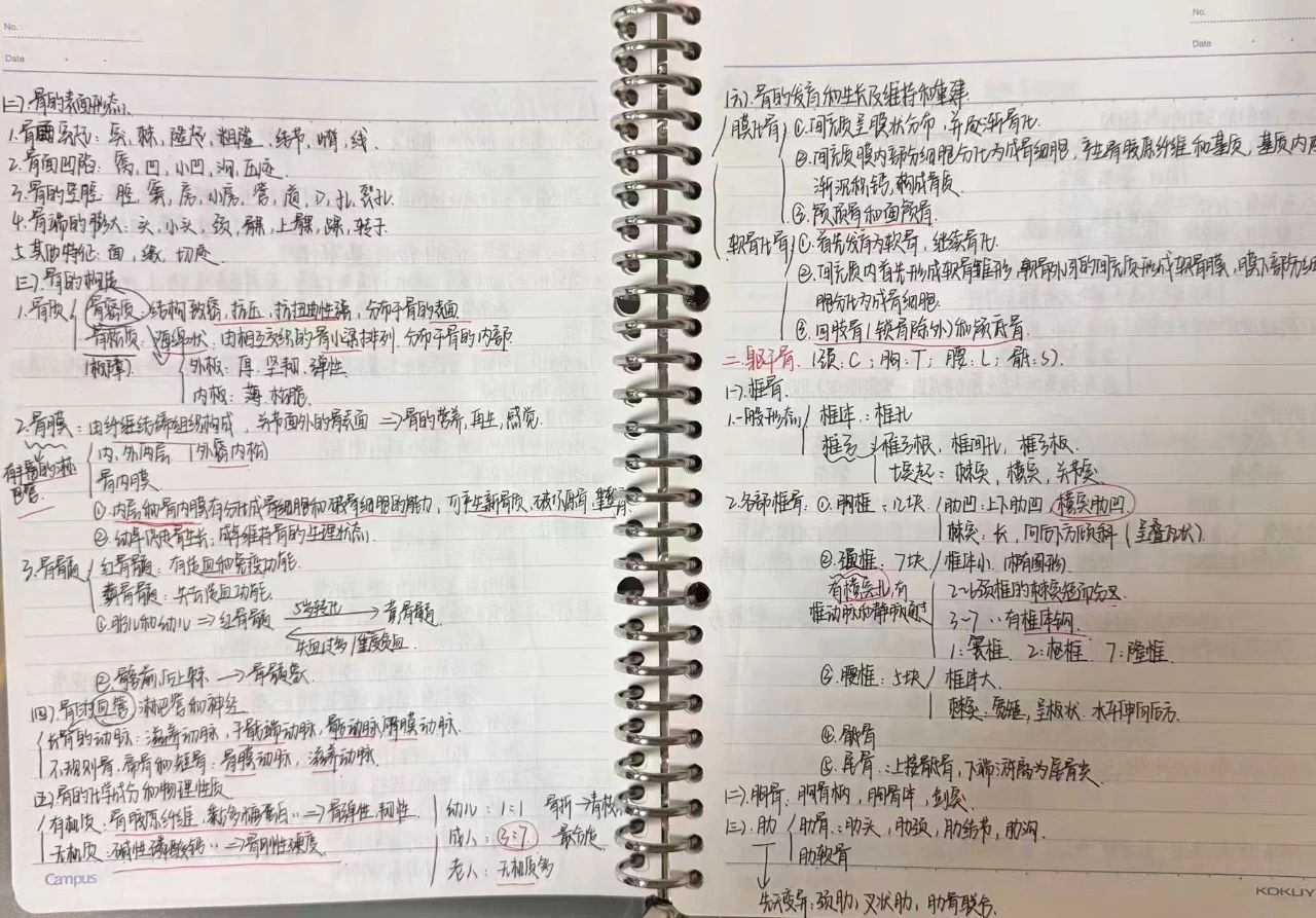 vsport体育核心通道