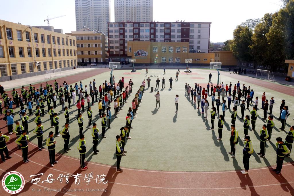 vsport体育稳定线路图片