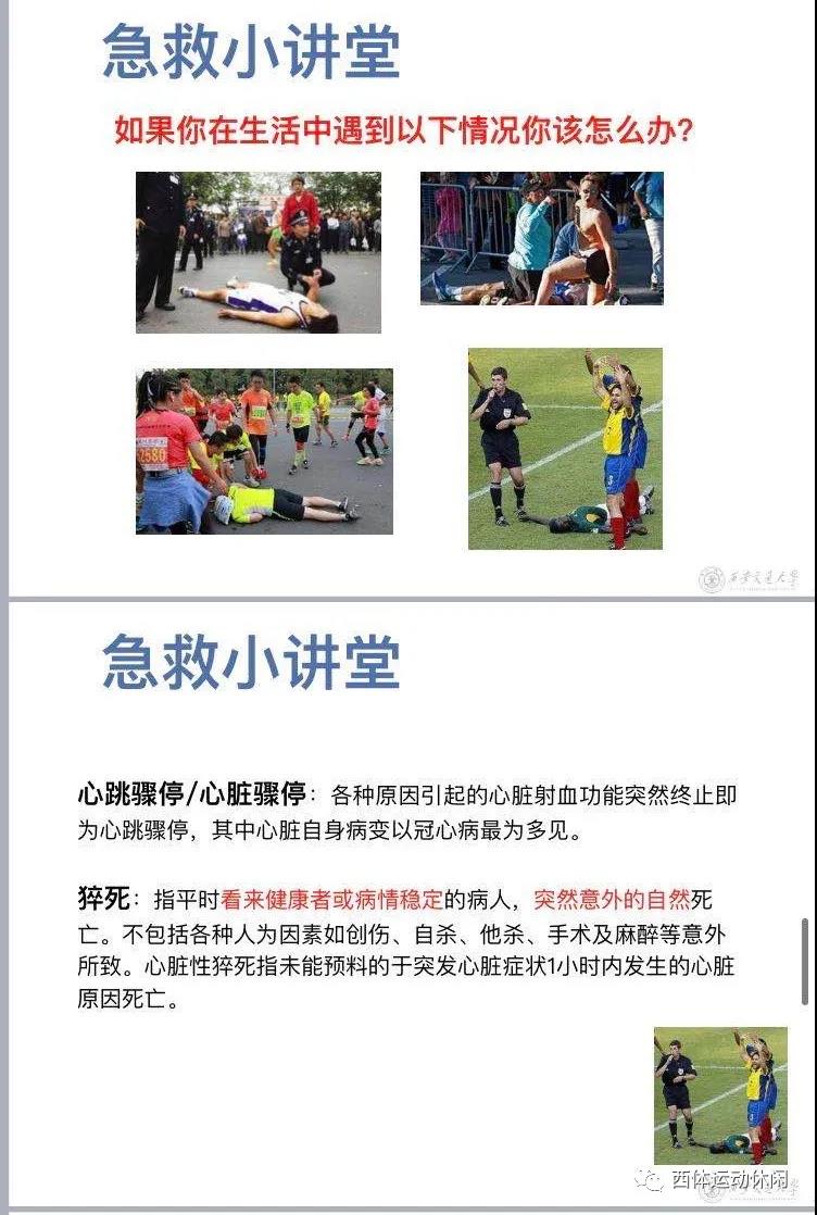 vsport体育APP下载