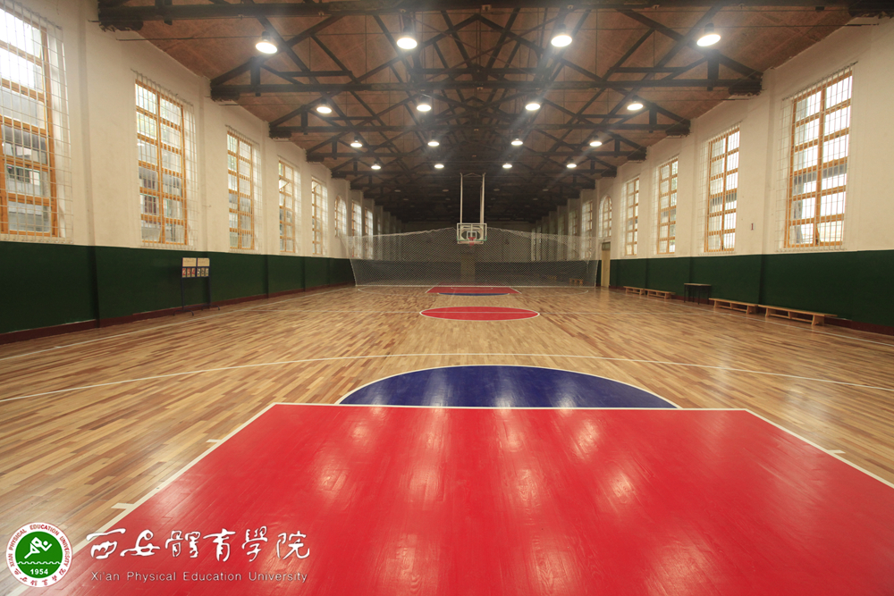 vsport体育欧洲杯图片